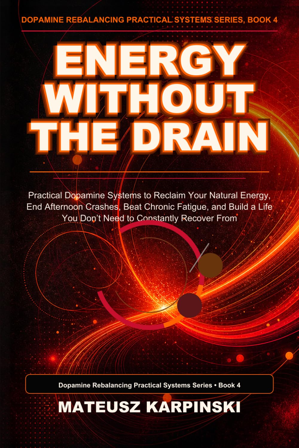 Energy Without the Drain book cover