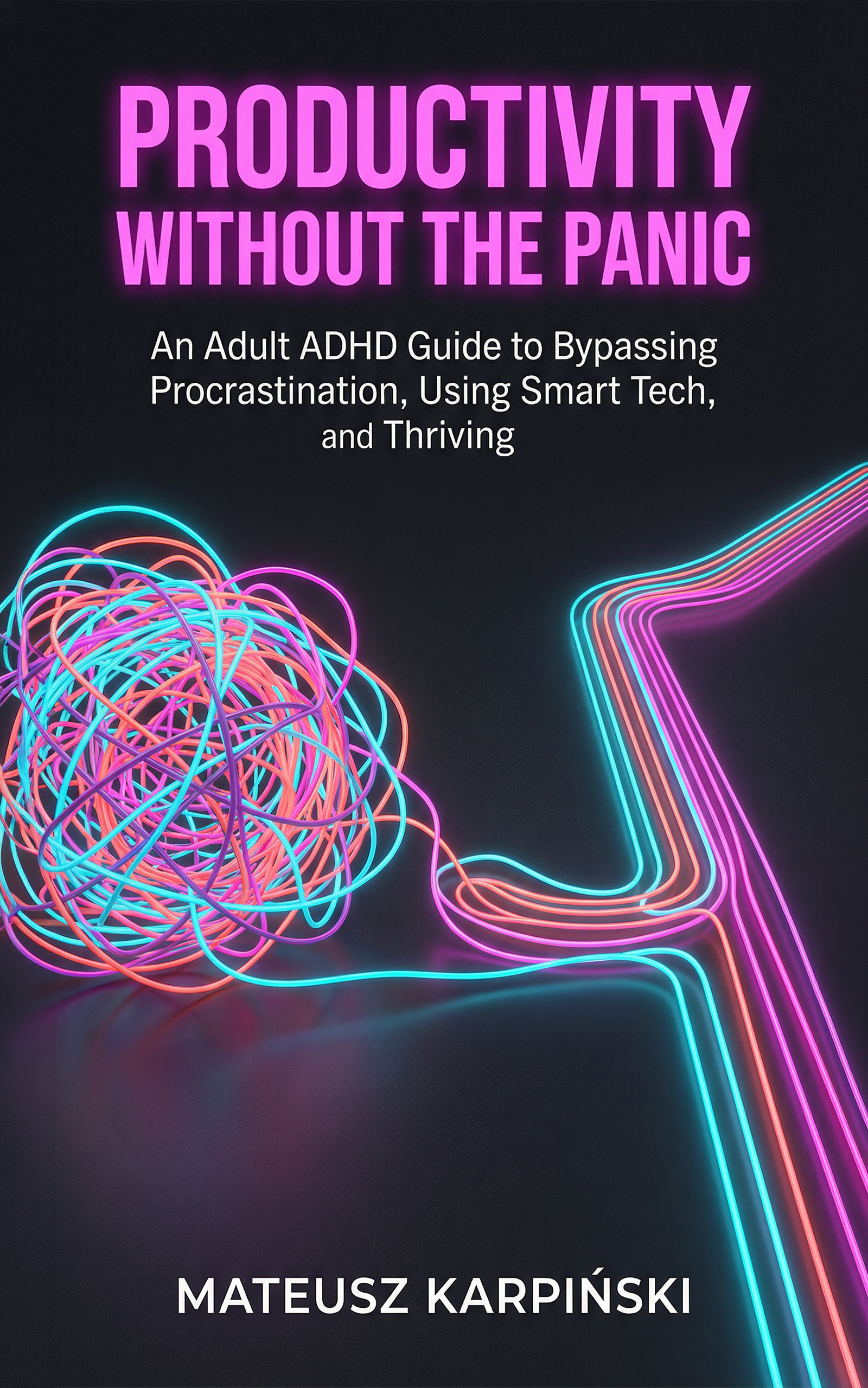 Productivity Without the Panic book cover